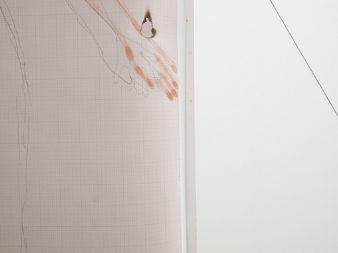 <p>interface (wound)</p><p> </p><p>2013</p><p>cosmetic pigment, pen on graph paper, scorches, single channel video on ipod (Detail)</p><p>Drawing 328 x 150 x 10 cm, video 6:26 min, loop</p>