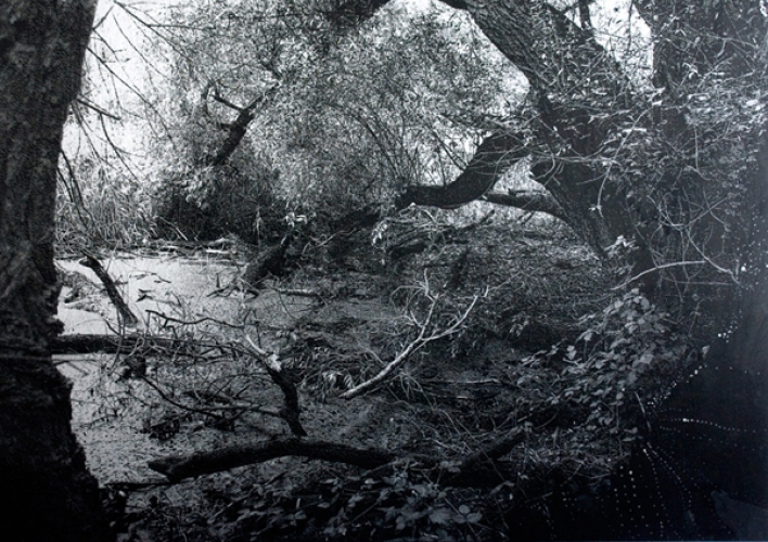 <p>Cornelia Brintzinger</p><p> </p><p>Der Weiher, 2009</p><p>Screenprint, pigment, varnish on wood</p><p>134 x 167 cm</p>