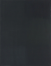 <p>Monochrom schwarz (Draussen vor der Tür)<br /><br />2008<br />Oil on canvas<br />185 x 150 x 2 cm</p>