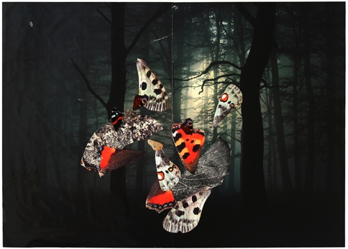 <p>“butterfly wings in the night“, September 2016, Woddow</p><p> </p><p>2016<br />wings of butterflies and paper on wood<br />34 x 47,5 cm</p>