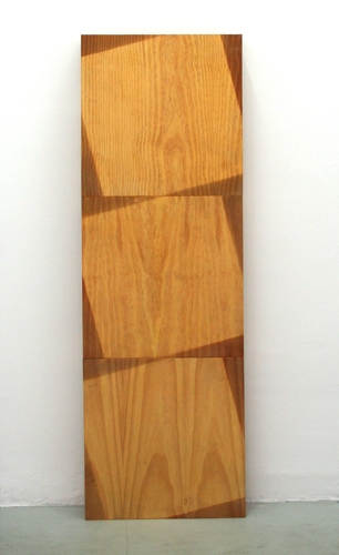 <p>o. T., August 2016, Woddow</p><p> </p><p>2016<br />wood, dust<br />150 x 50 x 16 cm</p>