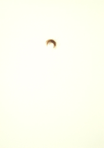 <p>o.T. (5.9., Boppstraße, Berlin, 2013)</p><p> </p><p>2013</p><p>hair on paper</p><p>34 x 24 cm</p>
