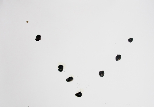 <p>Sibylla Dumke</p><p><br />23.03, 2012<br />selection of 16 works on paper, one painting on<br />wood, one painted sculpture made of paper (Detail)<br />dimensions variable</p>