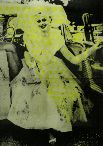 <p>Fail to hear notice or understand the Characteristics determining Who or What</p><p> </p><p>2009</p><p>Silkscreen, acrylic and varnish on linen</p><p>155 x 110 x 4 cm</p>