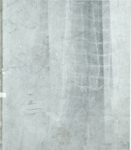 <p>I don't know what happened #1</p><p> </p><p>2014</p><p>piece of studio floor</p><p>61 x 51,5 cm</p>